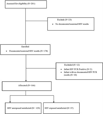 A comparison of weight gain between HIV exposed uninfected and HIV unexposed uninfected infants who received KMC at Chris Hani Baragwanath Academic Hospital